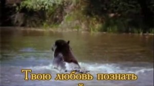 Караоке.*Жизнь посвящаю Тебе*христианские песни и гимны.