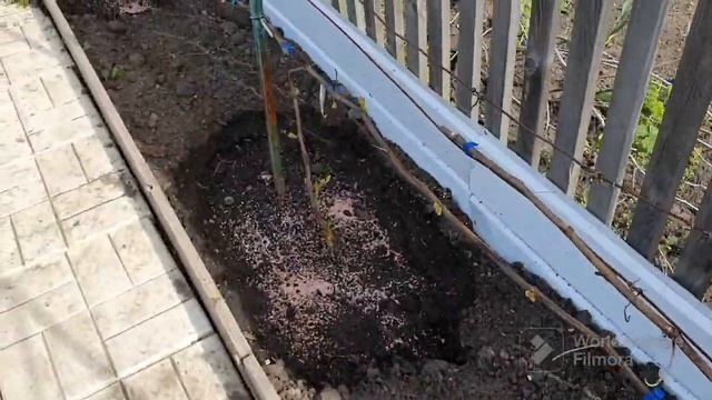 147. ПервоМай на 4х сотках. Тандыр в деле. Грибы, лепешки, мясо. смотреть онлайн