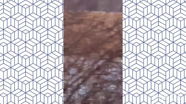 Как в саванне Россия Приморье Чугуевский район, не успели убрать сою, зима 2023 год! смотреть онлайн