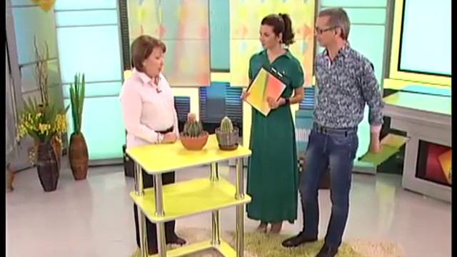 Советы по выращиванию кактусов. смотреть онлайн