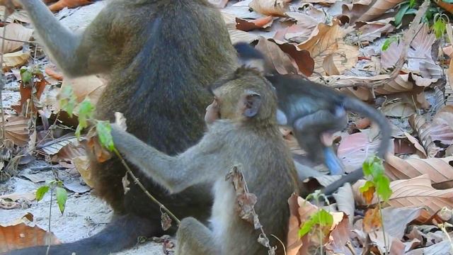 Best family join in the here Oh no, go please смотреть онлайн