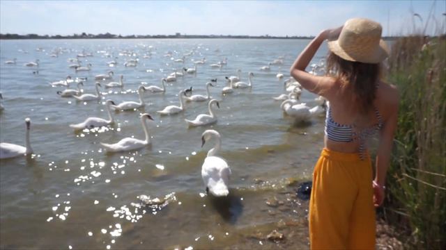 Лучшие места для отдыха в Крыму. Куда поехать? смотреть онлайн