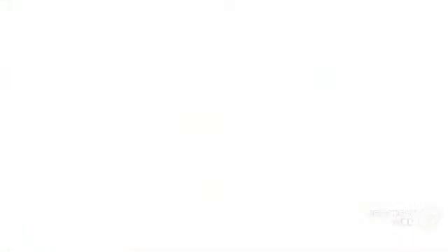 Skimmia - garden plants смотреть онлайн