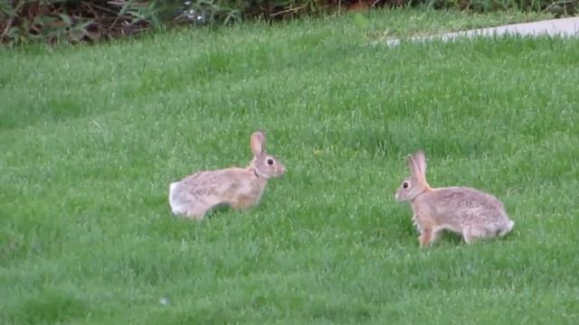 Учебный день. Структура презентации смотреть онлайн