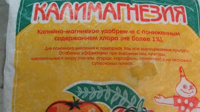 Как УВЕЛИЧИТЬ урожай КАРТОФЕЛЯ? Чем подкормить почву под КАРТОФЕЛЬ осенью смотреть онлайн