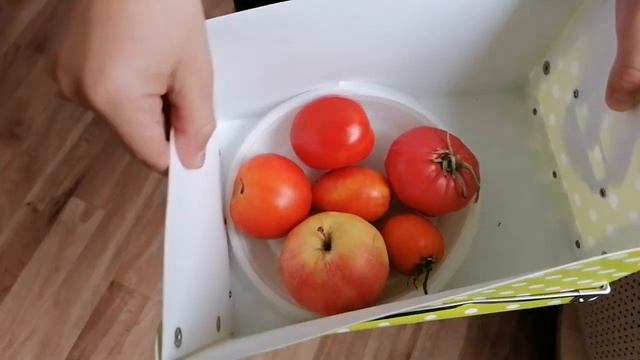Опыт с томатами.mp4 смотреть онлайн