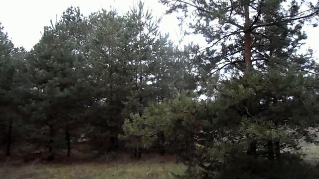 УЗНАЙТЕ : КАКАЯ СТИХИЯ У ВАШЕЙ ДУШИ..МЕТАЛЛ. ВОДА.ДЕРЕВО. ОГОНЬ. смотреть онлайн