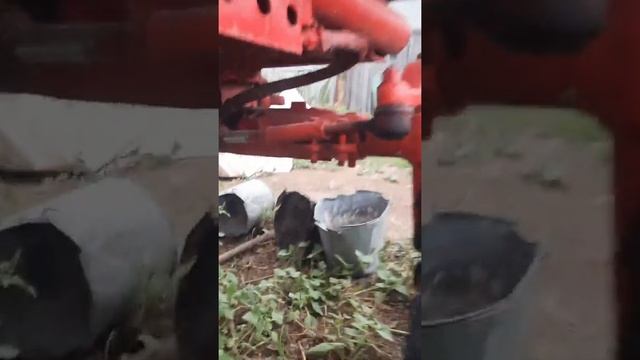 Трактор ХТЗ Т-16 экспресс-обзор от Сергея Баранник смотреть онлайн