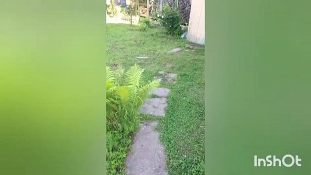 Разработка участка. Как сделать это быстро. смотреть онлайн