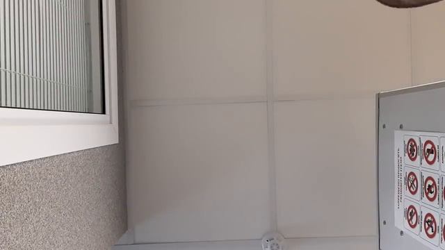 Угрозы на ровном месте смотреть онлайн