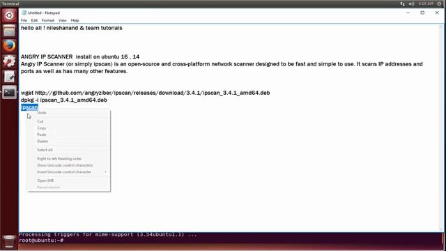 installing Angry IP Scanner on Ubuntu смотреть онлайн