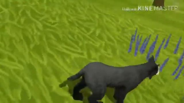 //WildCraft\\ Страшилка~ чёрная рысь + неудачный кадр😅