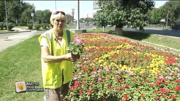 Профессия: озеленители. Незаметные профессии