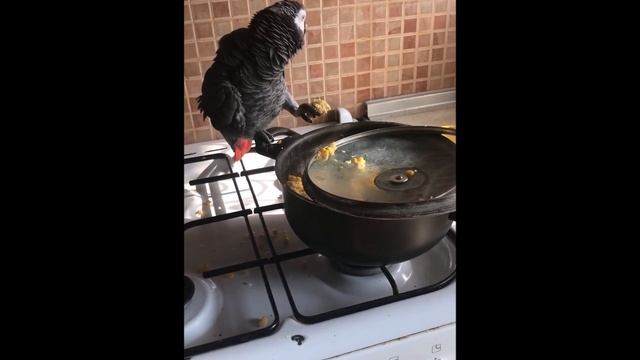 Мамин помощник смотреть онлайн