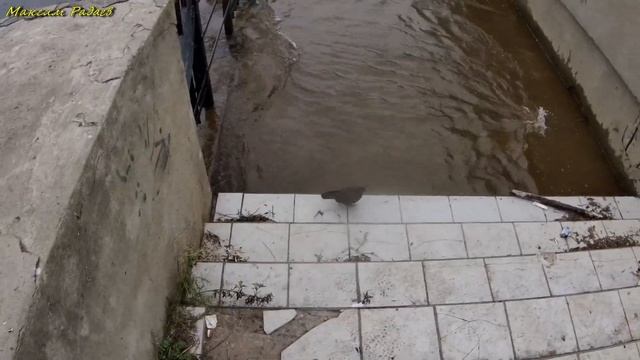 Комсомольск-на-Амуре- вода отступает (уровень воды в Амуре на 10.09.2021). смотреть онлайн