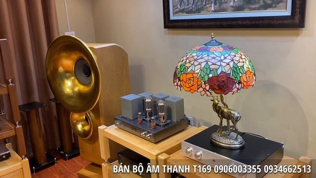 Test Bộ Âm Thanh T169 Bài Hoa Nở Về Đêm - CD Tạ Từ Trong Đêm - Thanh Tuyền смотреть онлайн