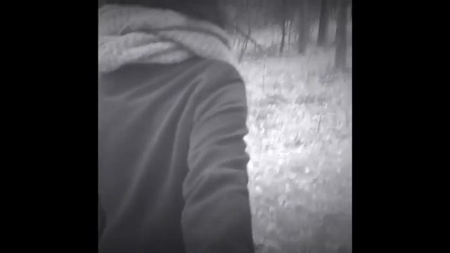 Бугагашенька!) смотреть онлайн