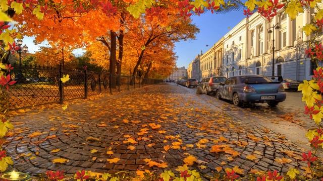Листья жёлтые над городом кружатся Музыка СССР смотреть онлайн