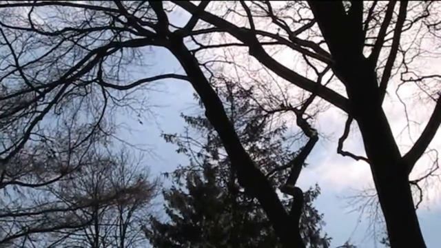 Canon Legria FS306 HQ Test смотреть онлайн