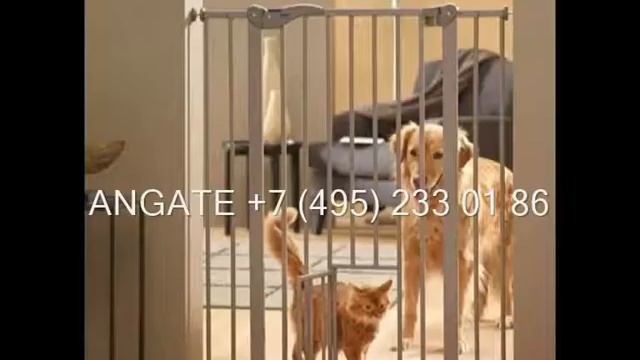 Перегородки для собак смотреть онлайн