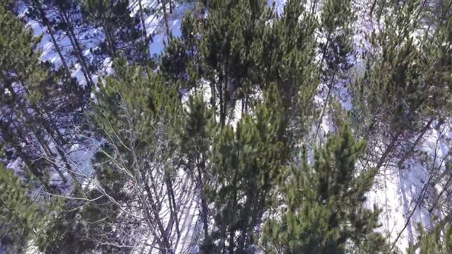 First Flight of Our DJI Phantom 3 Standard Drone - Extreme Cold Weather смотреть онлайн