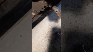 Как отрегулировать ручной тормоз на автомобиле Москвич АЗЛК 2141