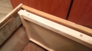 моя шести рамочная ловушка для пчёл