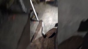 Выхлопная труба по малой кабине мтз 80.