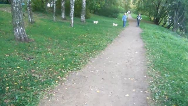 Прогулка по Мигаловской набережной смотреть онлайн