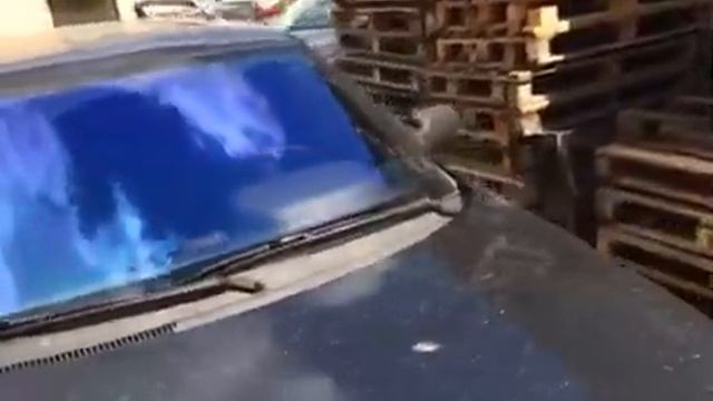 Атермальная тонировка хамелеон смотреть онлайн