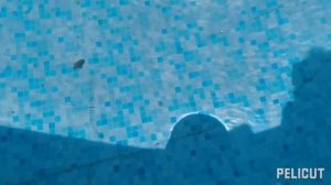 Как слабым песочным фильтром, насосом почистить воду в бассейне скиммером или водяным пылесосом.