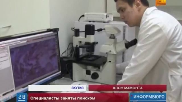 На земле могут вновь появиться мамонты смотреть онлайн