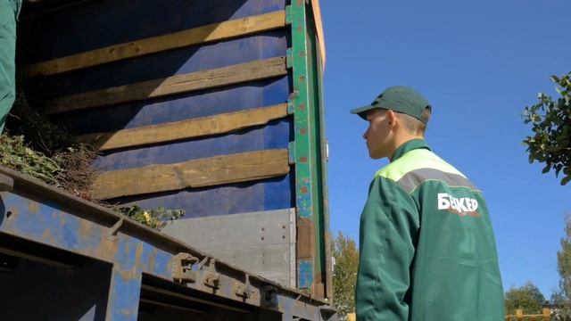 Королева сада прямо с питомников. Cаженцы роз смотреть онлайн