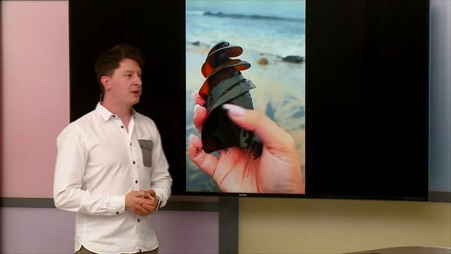 Как выглядит яйцо акулы? смотреть онлайн