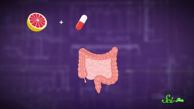 Why Shouldn't You Take Medicine with Grapefruit Juice? смотреть онлайн