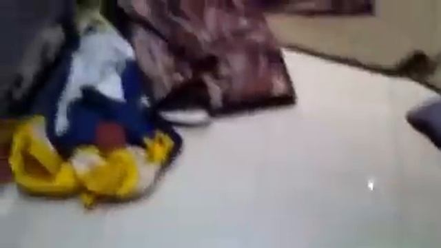 Боксерчик провинился! смотреть онлайн