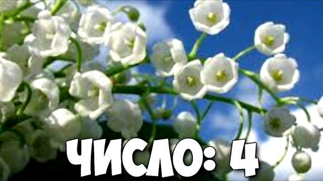 КАКОЙ ТЫ ЦВЕТОК ПО ДАТЕ РОЖДЕНИЯ смотреть онлайн