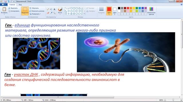 Генетика. Что такое ген?