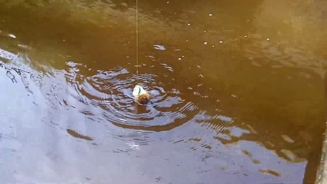 Маляр-это мастер во всём ?