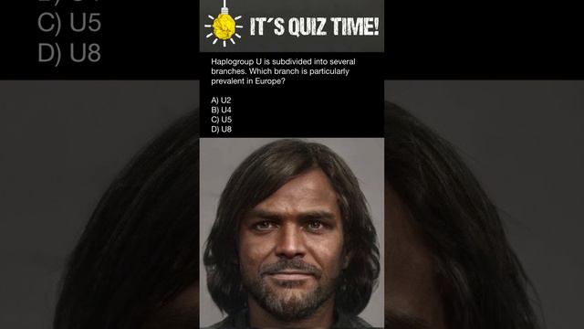 Haplogroup U is subdivided into several branches. Which branch is particularly prevalent in Europe? смотреть онлайн