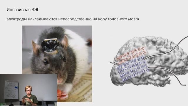 Нейронаука и интерфейсы мозг-компьютер смотреть онлайн