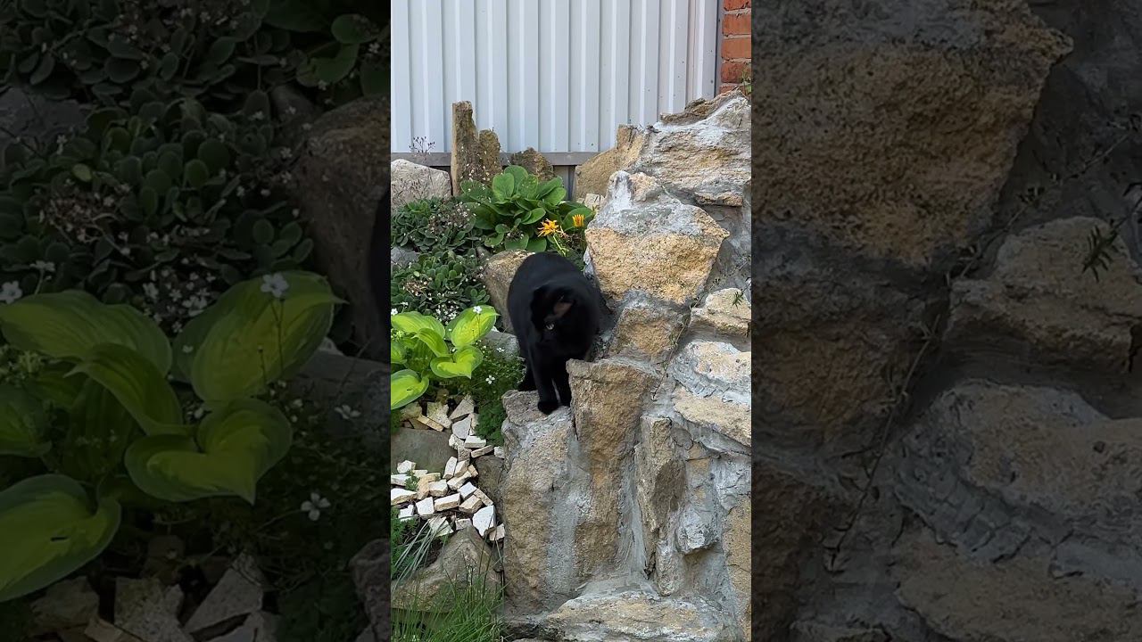 Какая красота #творчествосвоимируками смотреть онлайн