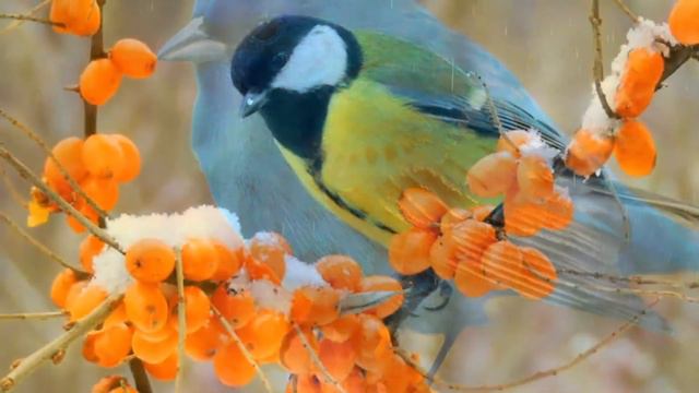 Самая красивая мелодия на свете! Эту музыку можно слушать вечно! красивая музыка Сергея Чекалина