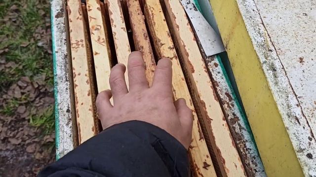 Спасаем пчёл смотреть онлайн