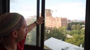 Раздвижная Сетка на балкон