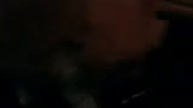 кот в тарелки смотреть онлайн