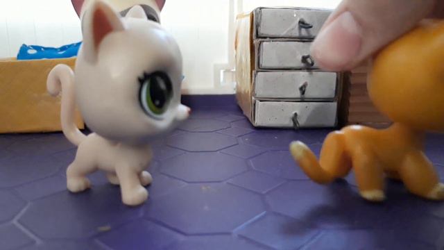 К Люсе приехал брат?На Женю упал шкаф?🙀🙀🙀 смотреть онлайн