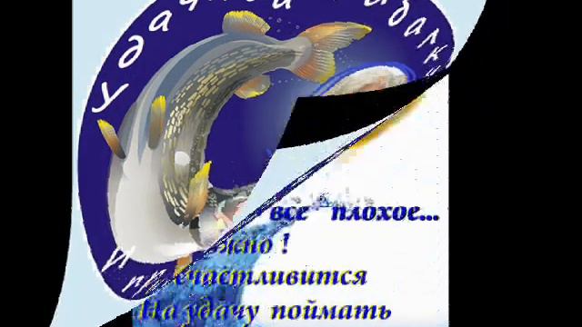 ПОЗДРАВЛЯЕМ! РИФ! смотреть онлайн