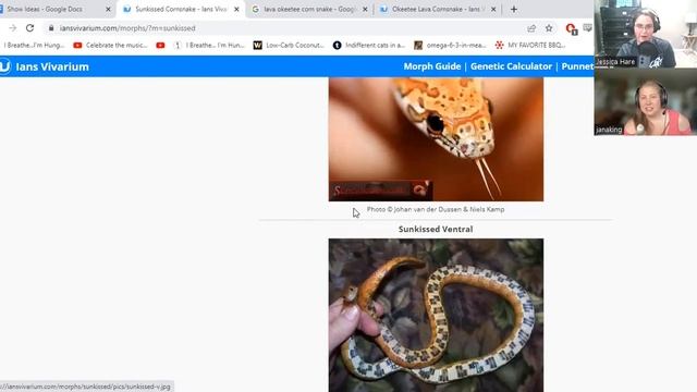 HRP 45 - Deep Dive into ALL the Corn Snake Morphs #CORNSNAKE #reptile #ballpython смотреть онлайн