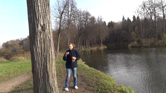 На барском пруду смотреть онлайн